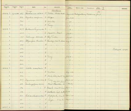 Image of Bartramia Lesson & R 1831