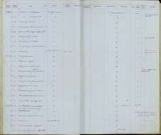 Image de Aimophila ruficauda lawrencii (Salvin & Godman 1886)