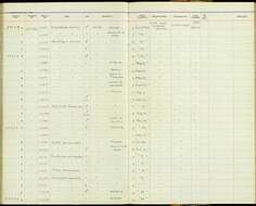 Geothlypis trichas campicola Behle & Aldrich 1947 resmi