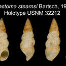 Image of Diastoma Deshayes 1850