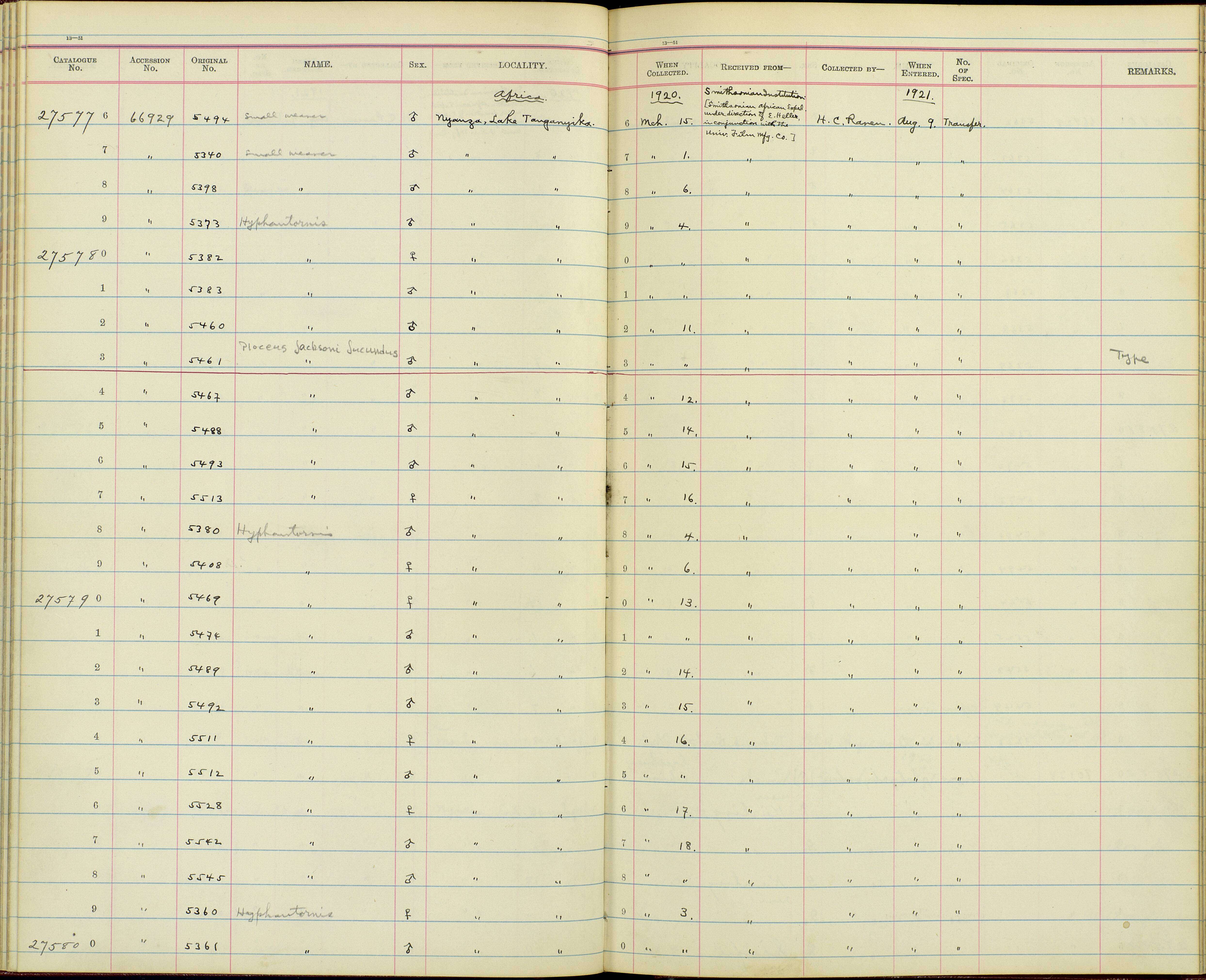 Image de Ploceus cucullatus graueri Hartert 1911