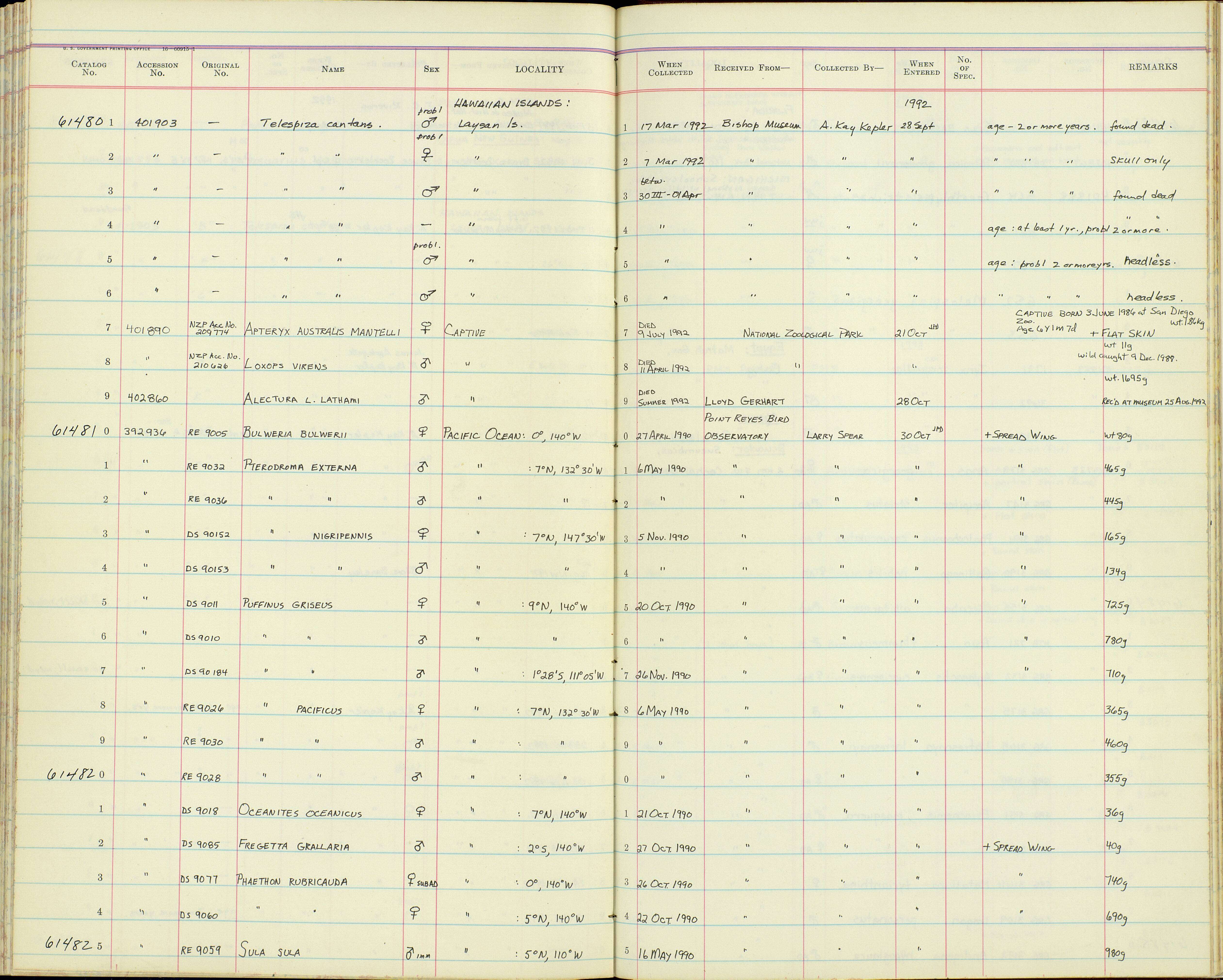 Image de Telespiza Wilson & SB 1890