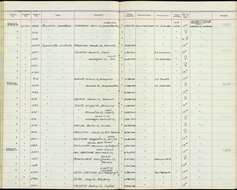 Imagem de Perisoreus canadensis capitalis Baird & SF 1874