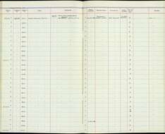 Passer domesticus niloticus Nicoll & Bonhote 1909 resmi