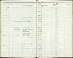 Sivun <i>Dendropicos namaquus coalescens</i> (Clancey 1958) kuva