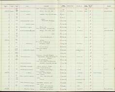 Zosterops conspicillatus (Kittlitz 1833)的圖片