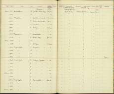 Слика од Troglodytes aedon peninsularis Nelson 1901