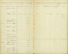 صورة Cossypha natalensis intensa Mearns 1913