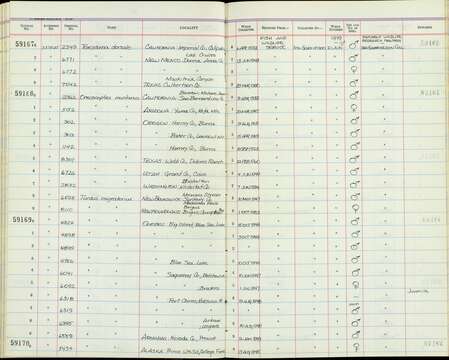 Image of Turdus migratorius nigrideus Aldrich & Nutt 1939