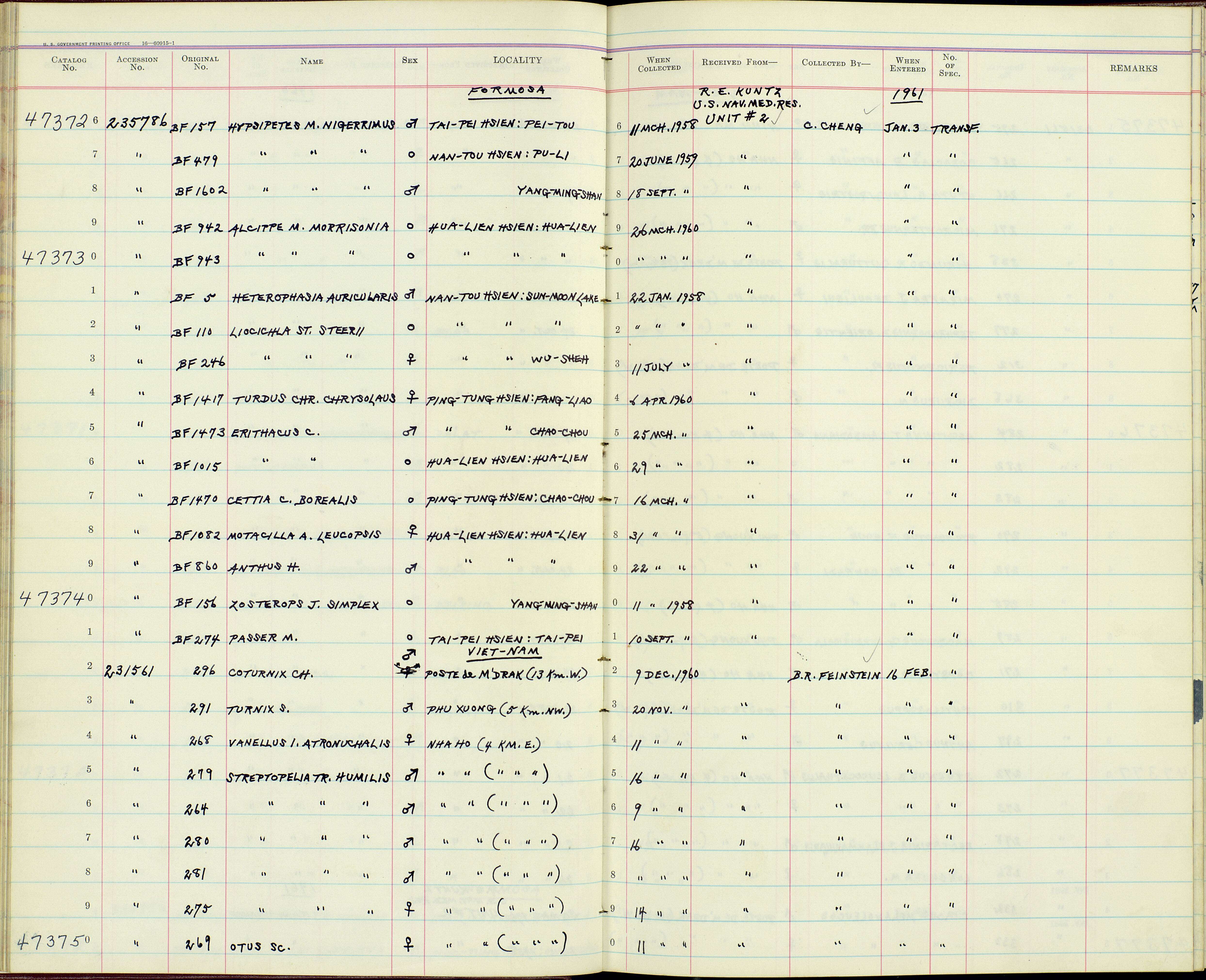 Plancia ëd Anthus hodgsoni yunnanensis Uchida, Kuroda & Nagamichi 1916