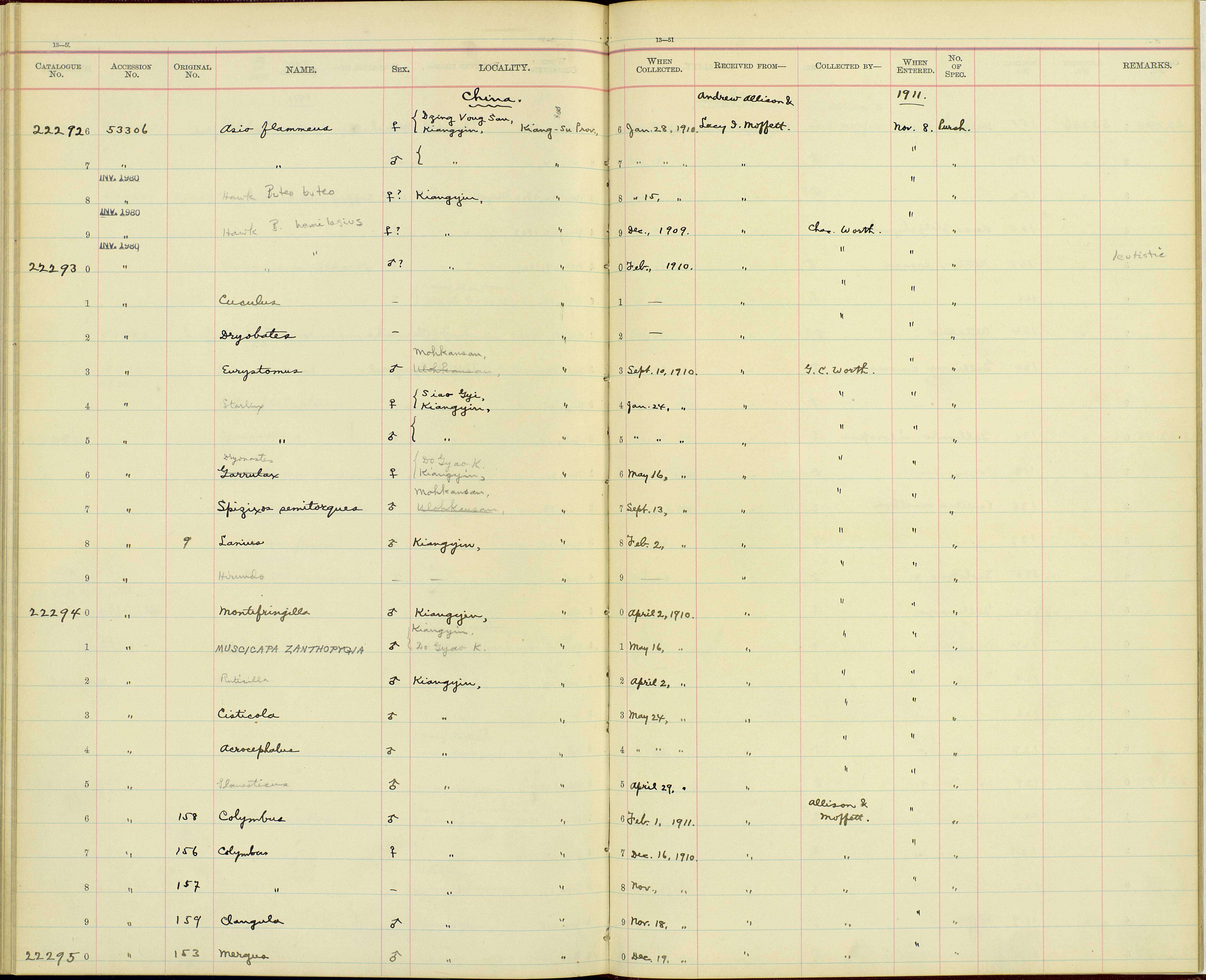 Image of Spizixos semitorques semitorques Swinhoe 1861