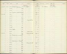 Image of Synallaxis erythrothorax furtiva Bangs & J. L. Peters 1927