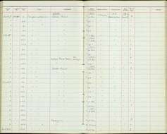 صورة Cossypha natalensis intensa Mearns 1913