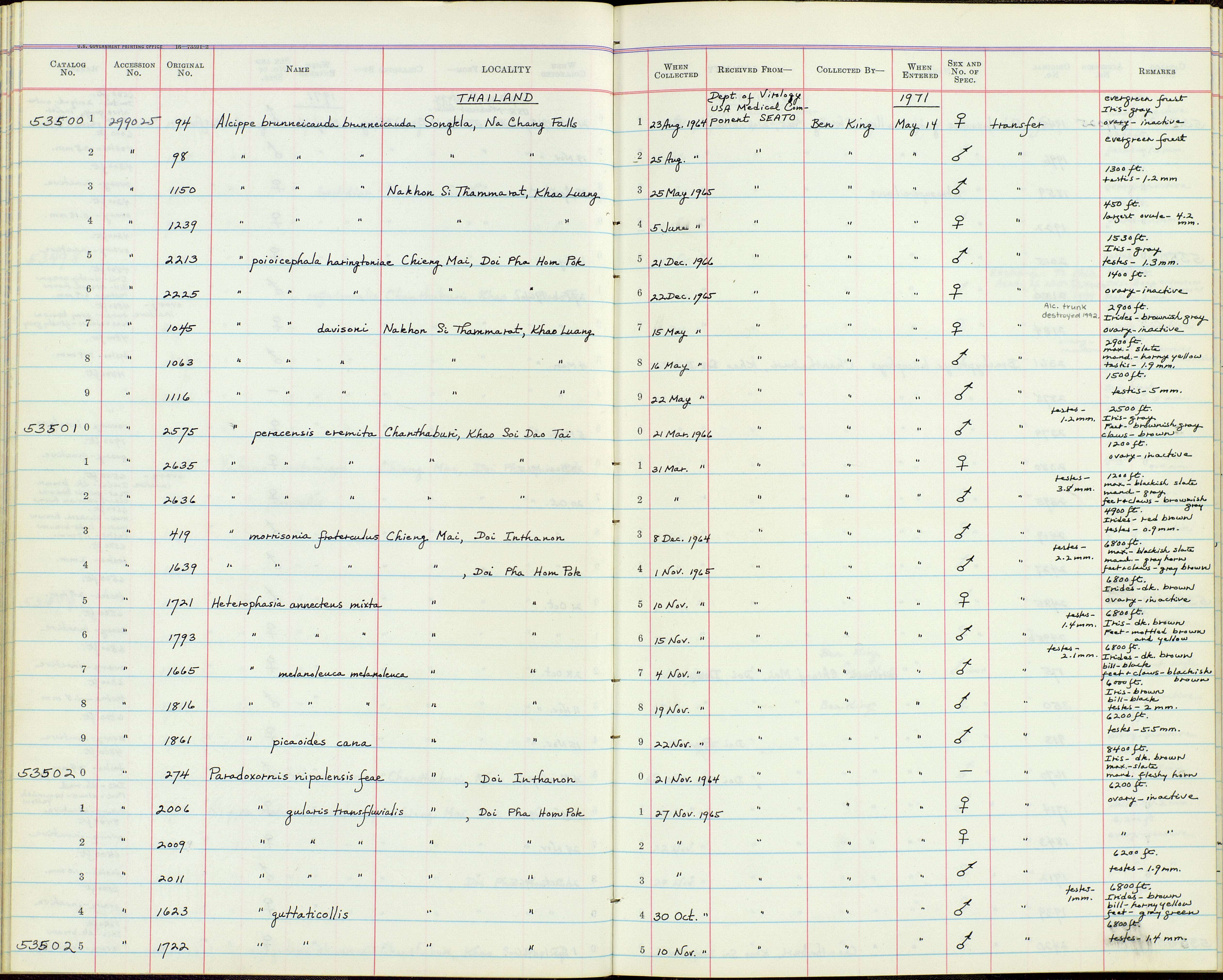 Image de Alcippe poioicephala haringtoniae Hartert 1909