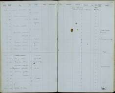 Sivun Myiozetetes cayanensis hellmayri Hartert & Goodson 1917 kuva