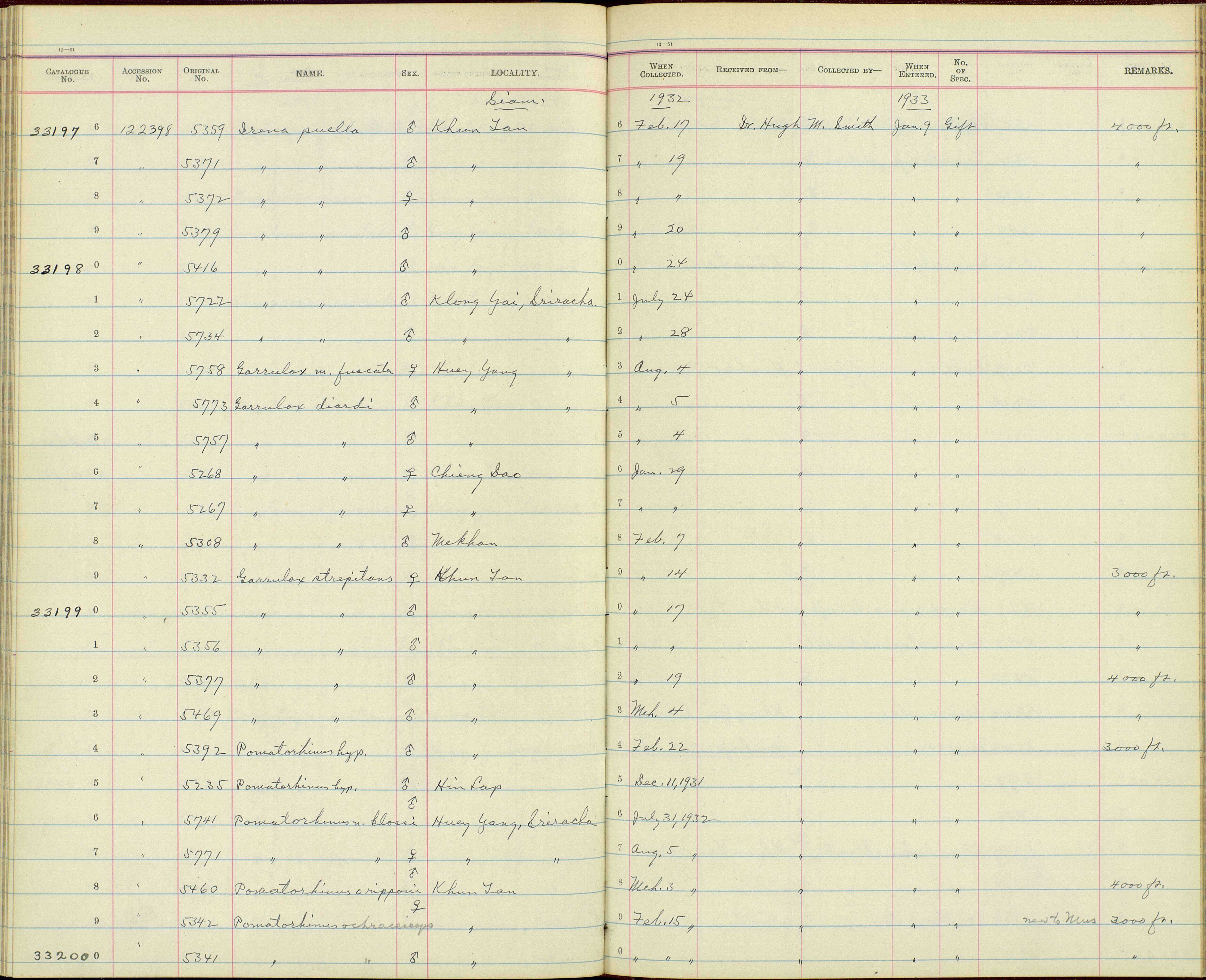 Imagem de Garrulax strepitans Blyth 1855