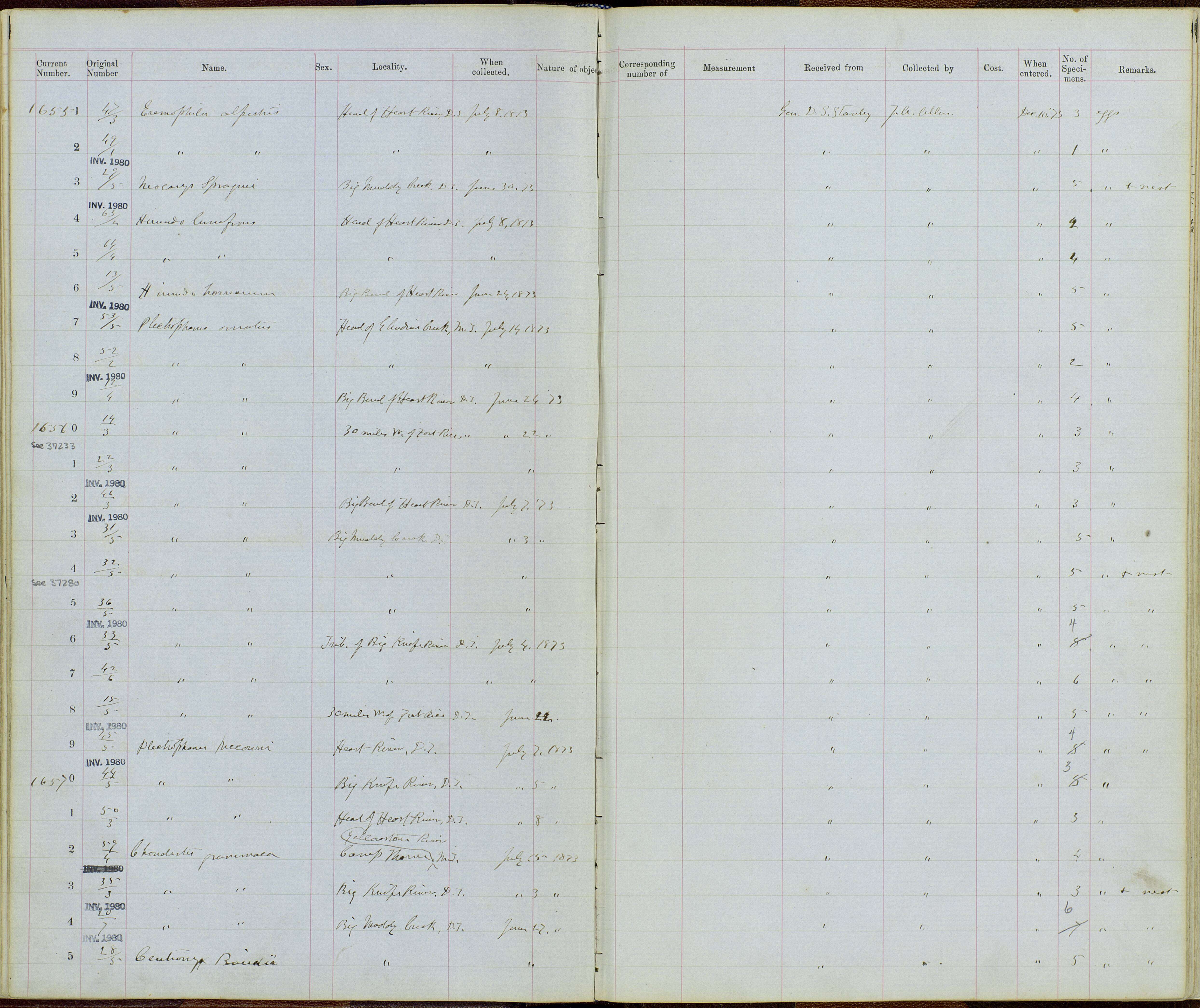 Image of Chondestes Swainson 1827