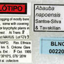 Image of Abauba napoensis Santos-Silva & Tavakilian 2009