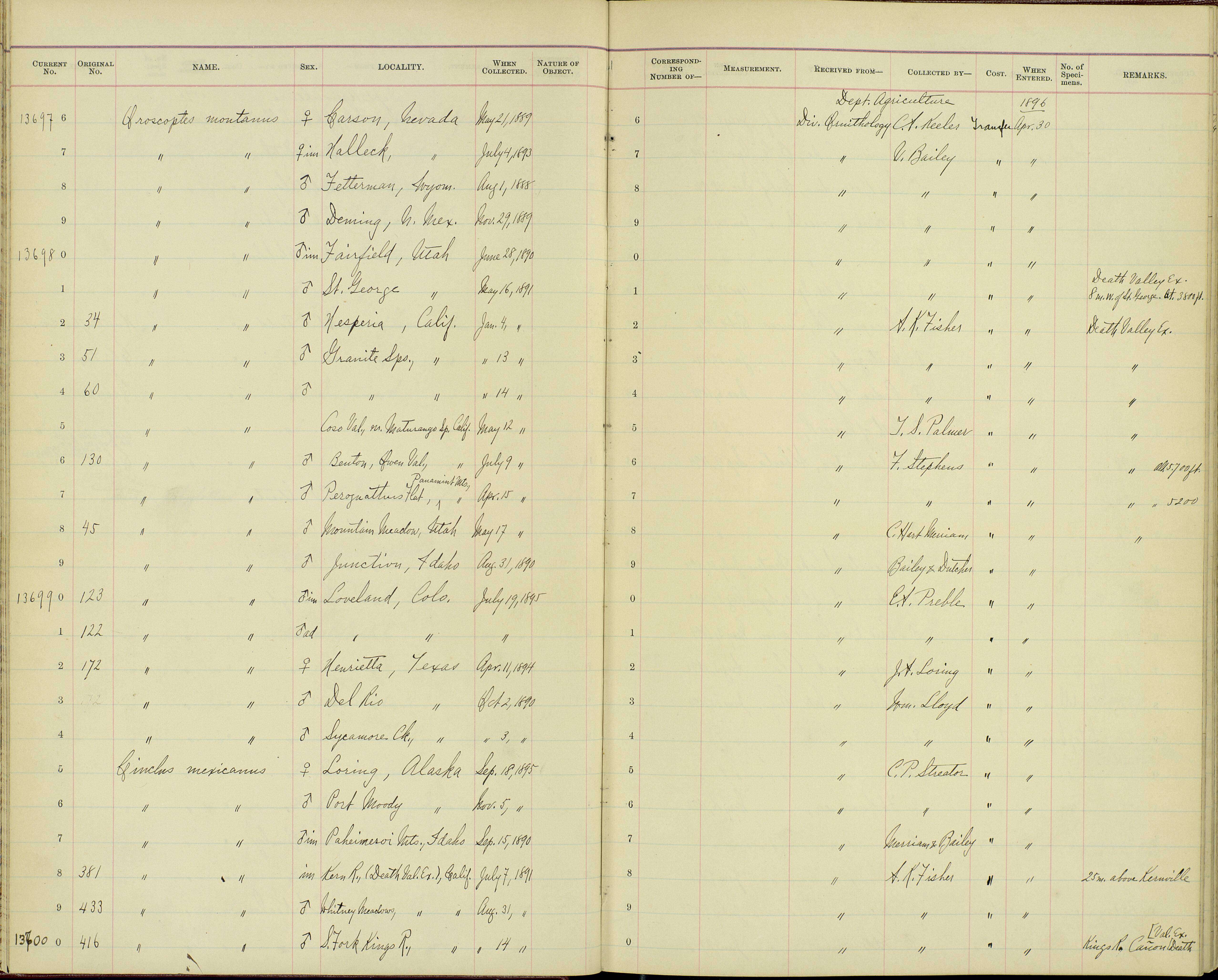 Plancia ëd Oreoscoptes Baird & SF 1858