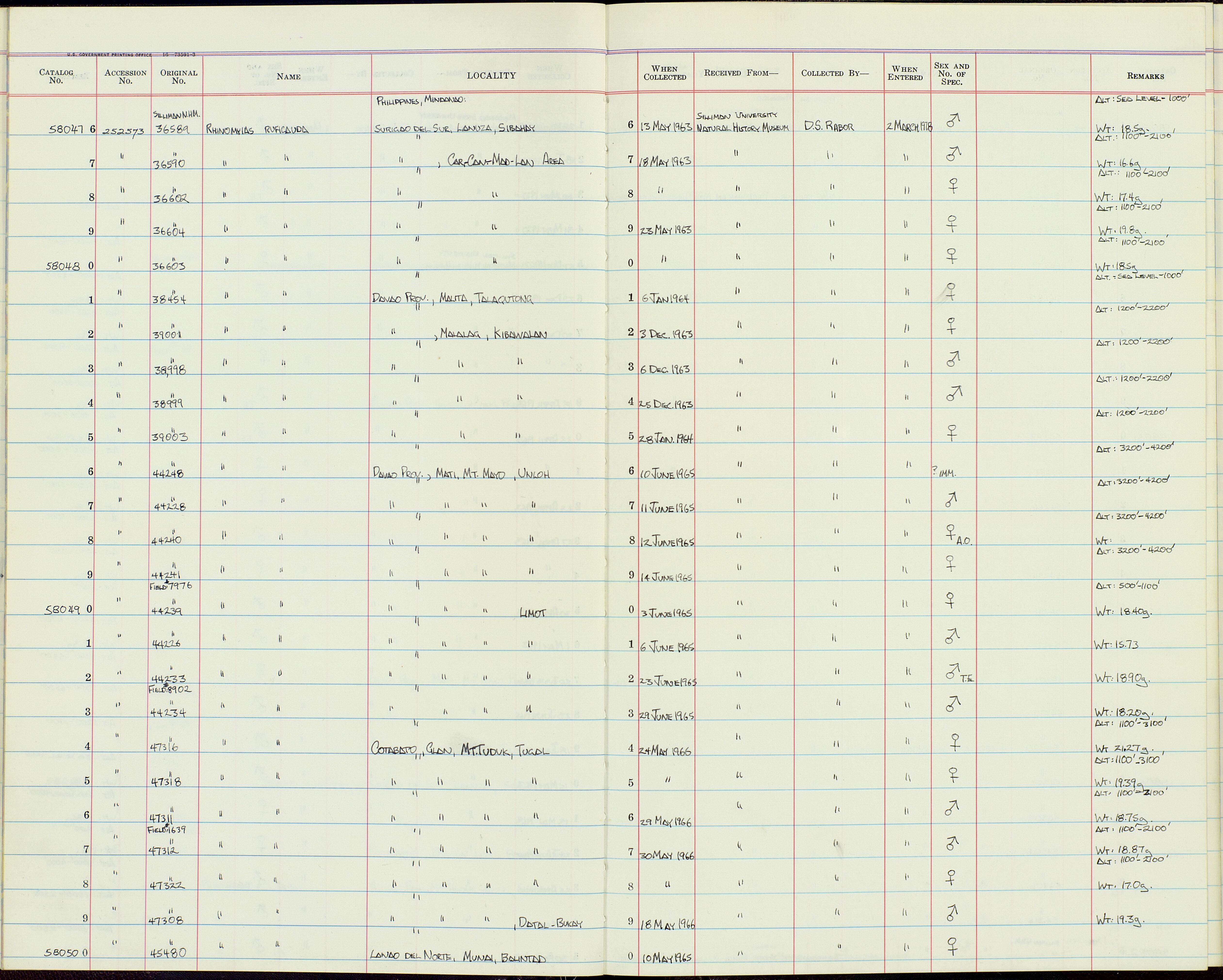 Слика од Rhinomyias ruficauda samarensis (Steere 1890)