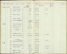 Image of Aenigmatolimnas Peters & JL 1932