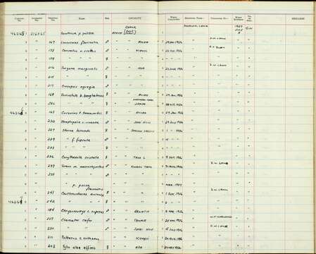 Sivun Aenigmatolimnas Peters & JL 1932 kuva