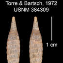 Plancia ëd <i>Centralia jungalitensis</i> Torre & Bartsch