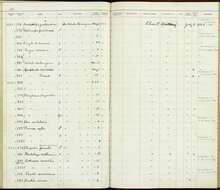 Image of Rostrhamus Lesson & R 1830