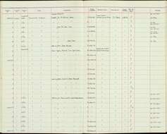 صورة Phylloscopus olivaceus (Moseley 1891)