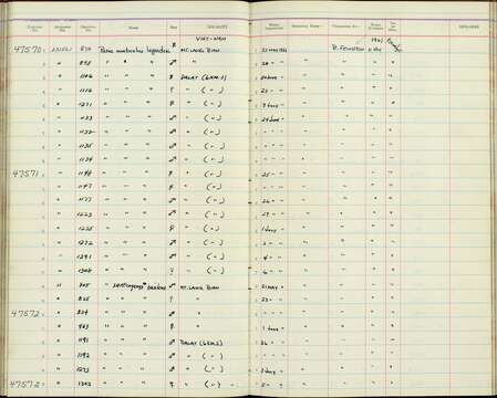 صورة Parus monticolus legendrei Delacour 1927