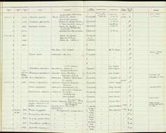 Geothlypis trichas (Linnaeus 1766) resmi