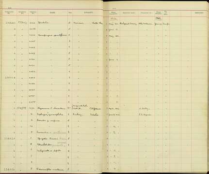 Image de Nesospingus Sclater & PL 1885