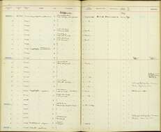 Plancia ëd Sitta frontalis Swainson 1820