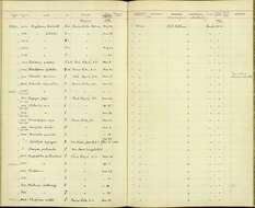 Sivun Campephilus guatemalensis regius Reichenbach 1854 kuva