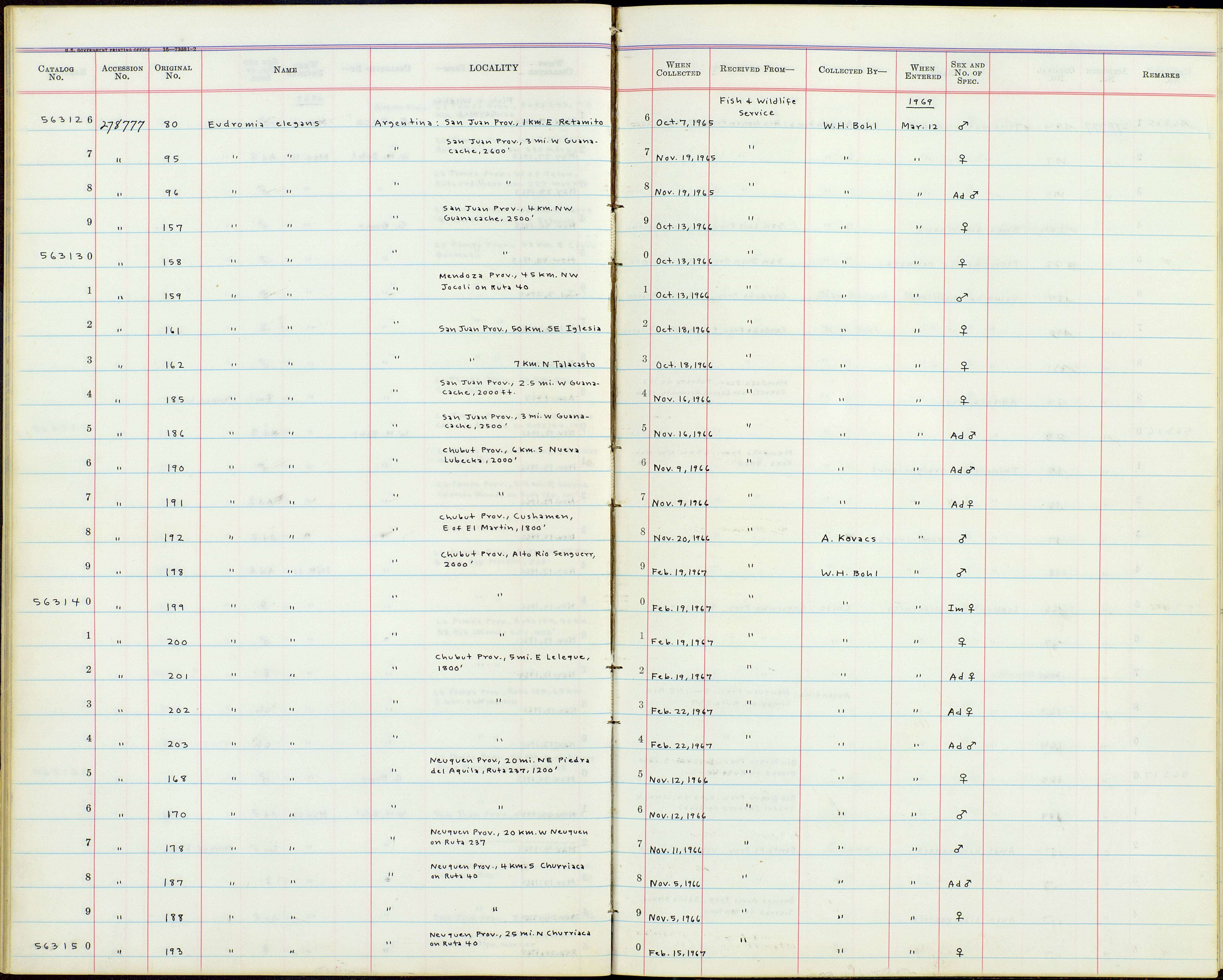 Image of Eudromia Geoffroy Saint-Hilaire & I 1832