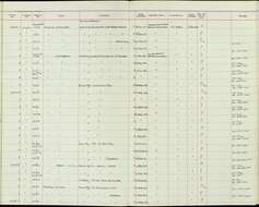 Слика од Rhinomyias ruficauda samarensis (Steere 1890)