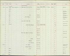 Imagem de Dicaeum trigonostigma cinereigulare Tweeddale 1878