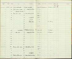 Melaenornis mariquensis (Smith & A 1847) resmi