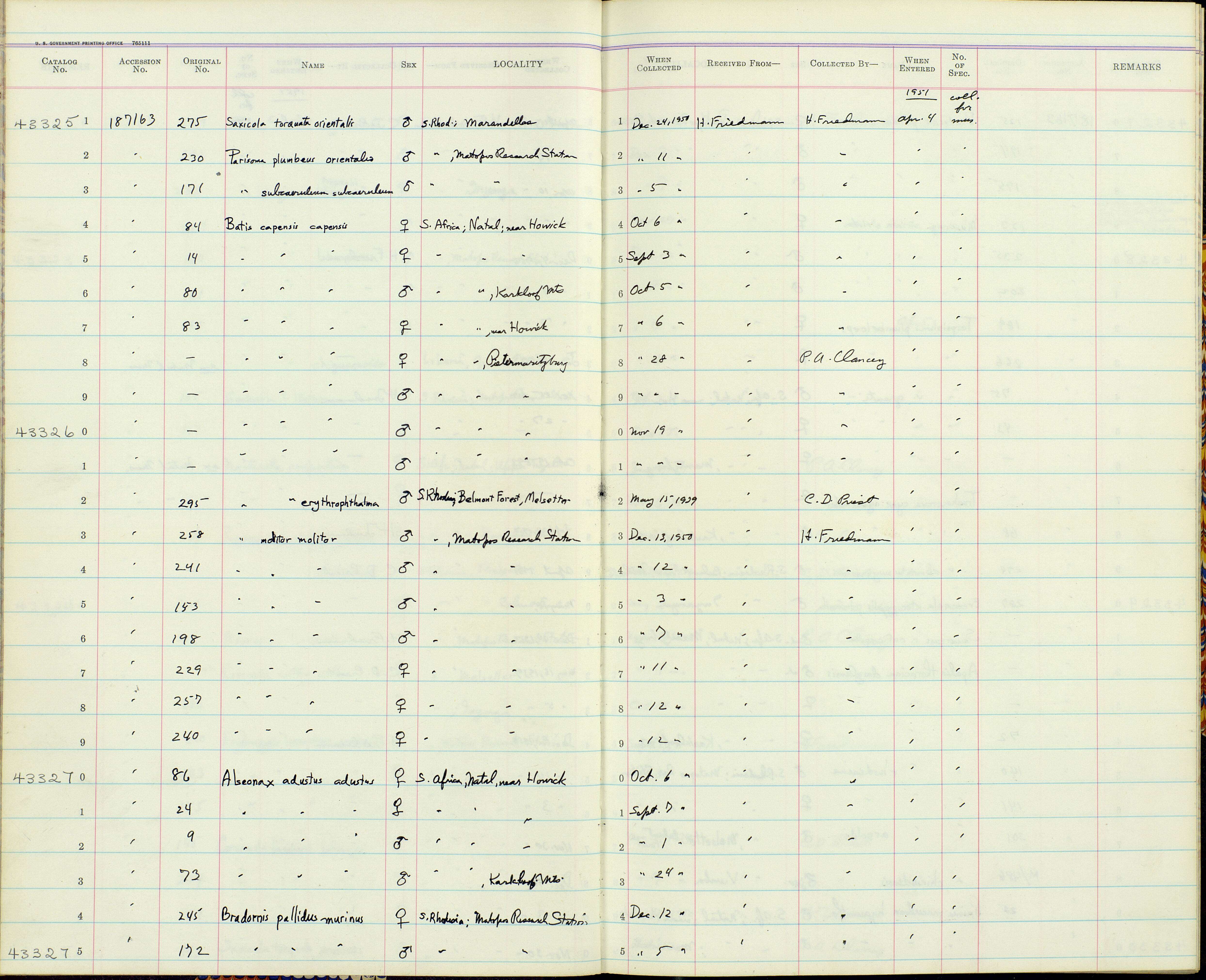 Melaenornis mariquensis (Smith & A 1847) resmi