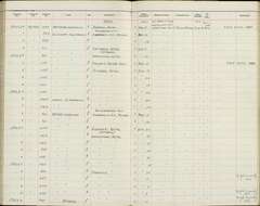 Culicicapa ceylonensis calochrysea Oberholser 1923的圖片