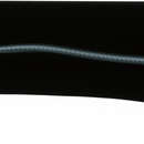 Image of Purple spaghetti-eel