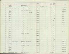 Pyrrhula leucogenis steerei Mearns 1909 resmi