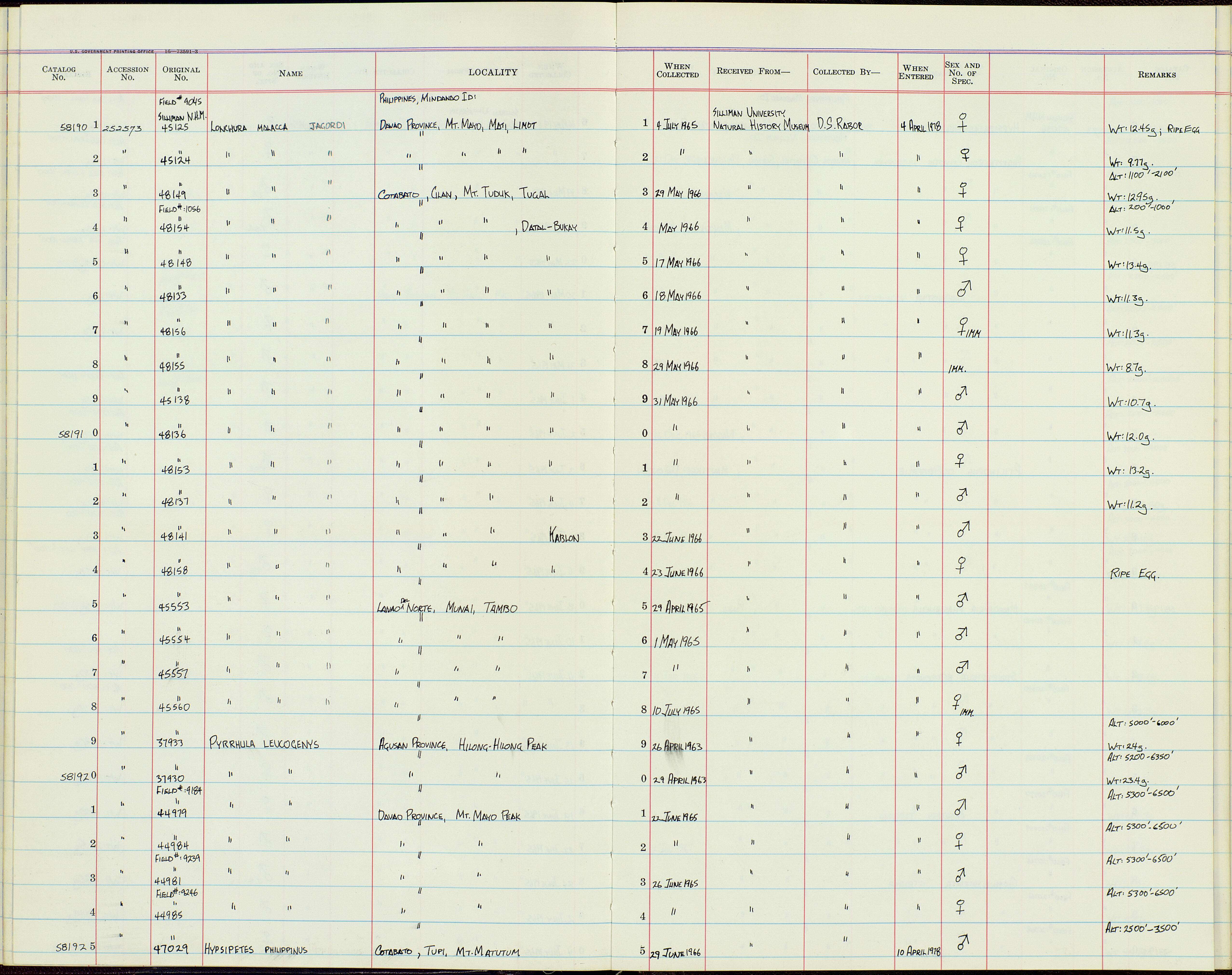 Pyrrhula leucogenis steerei Mearns 1909 resmi