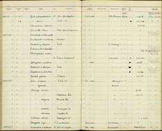 صورة Geospiza scandens intermedia Ridgway 1894