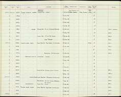 Tchagra australis souzae (Barboza du Bocage 1892)的圖片