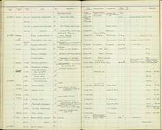 Image de Toxorhamphus Stresemann 1914