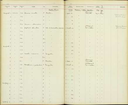 صورة Coereba flaveola mexicana (Sclater & PL 1857)