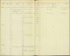 Geothlypis trichas campicola Behle & Aldrich 1947 resmi