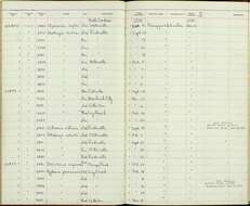 Geothlypis trichas (Linnaeus 1766) resmi