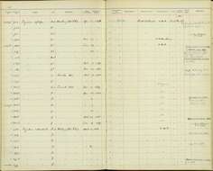 Regulus satrapa satrapa Lichtenstein & Mhk 1823 resmi